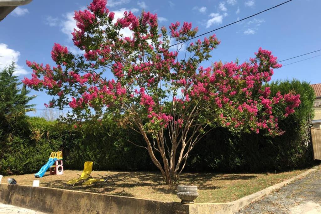 Au Lilas Rose Maison Entre Campagne Et Village Belvès Exterior foto