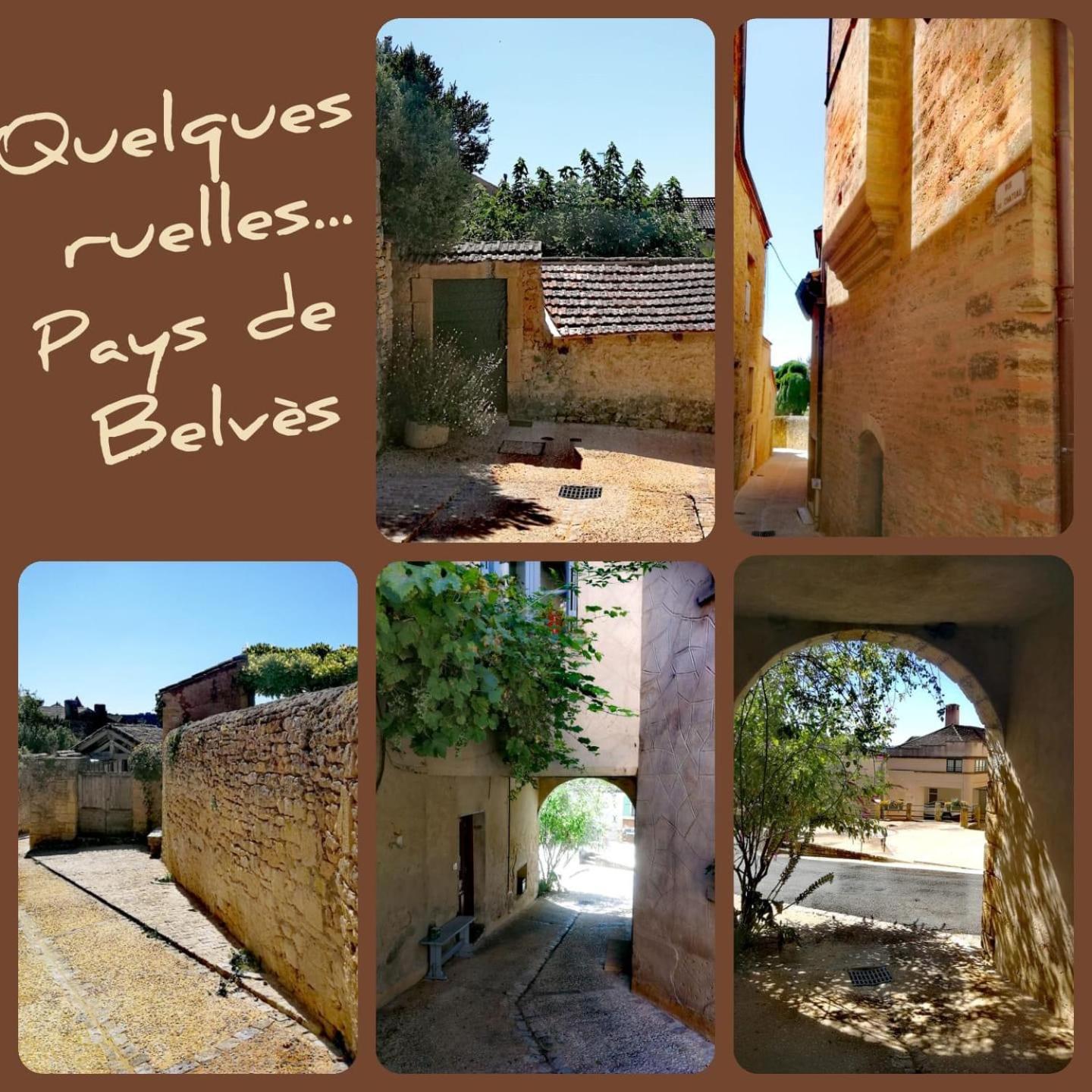 Au Lilas Rose Maison Entre Campagne Et Village Belvès Exterior foto